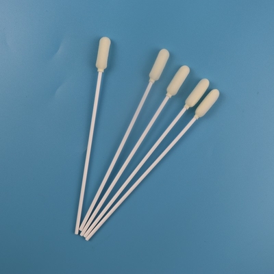 cotonete oral estéril médico da amostra da cabeça redonda grande de 6mm descartável