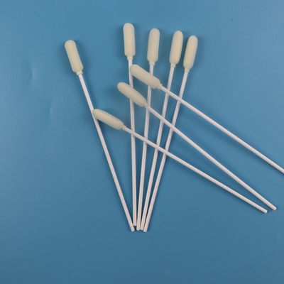 cotonete oral estéril médico da amostra da cabeça redonda grande de 6mm descartável