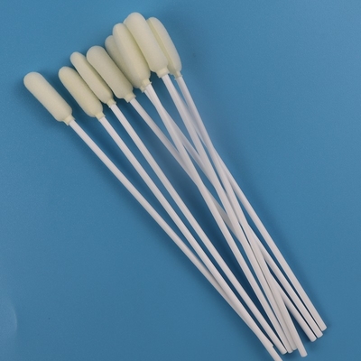 cotonete oral estéril médico da amostra da cabeça redonda grande de 6mm descartável
