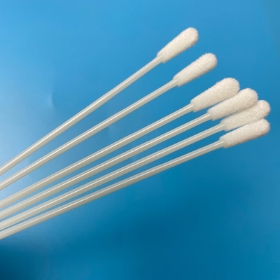 145 mm de comprimento OEM Swab estéril descartável sem ponto de ruptura Swab de coleta de cabeça de 6 mm