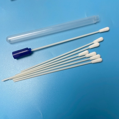 145 mm espécime branco obtendo esfregões para resultados de amostragem consistentes e precisos