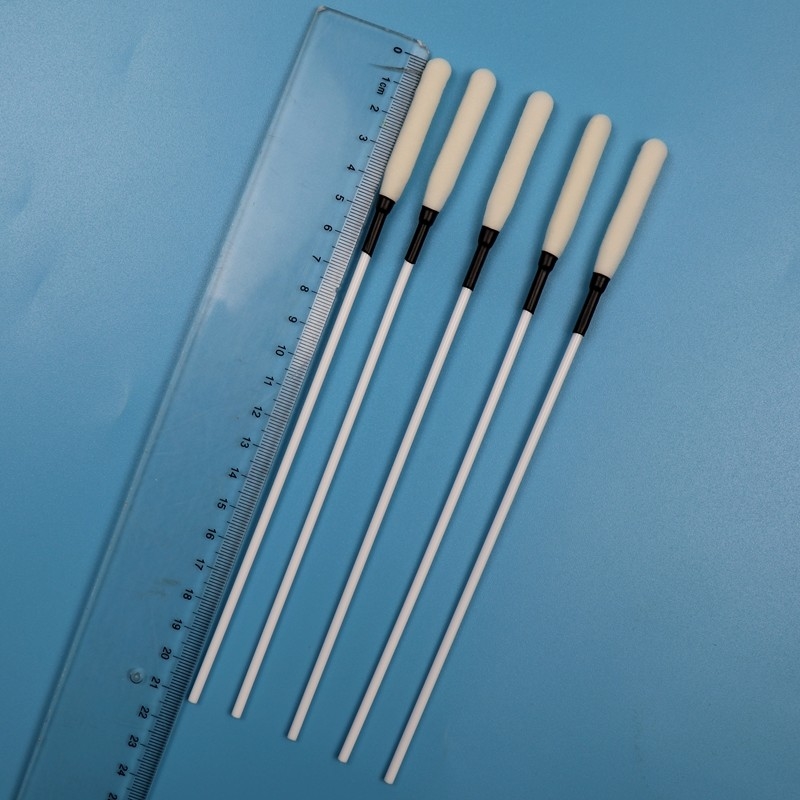 21cm Extra Long PP Stick Long Spam Tip Swab Esponja Médica Stick Trocar Limpe Swab